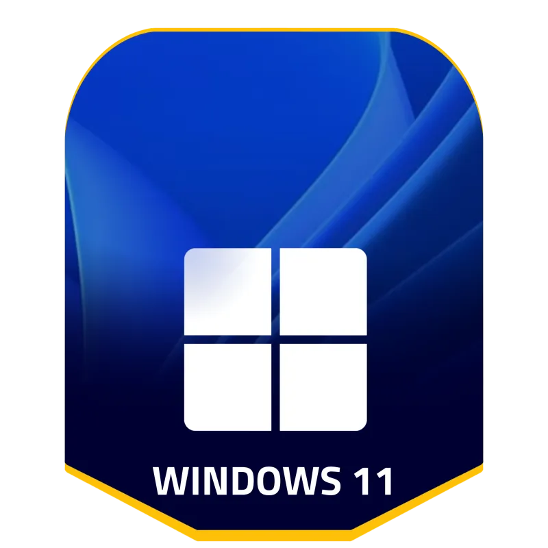 Windows 11